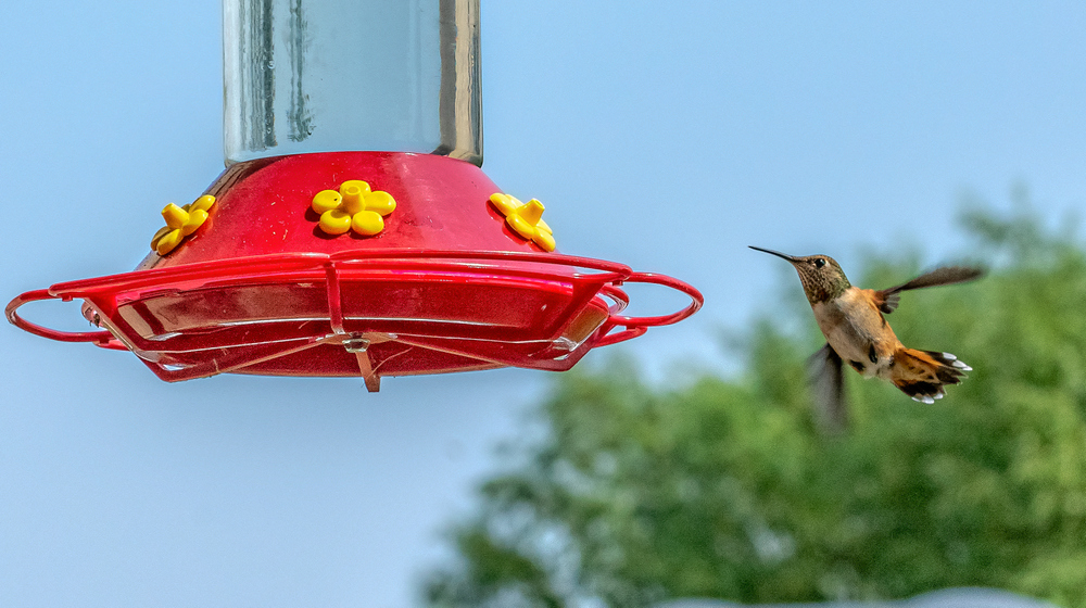 710_7280-Edit-003.jpg