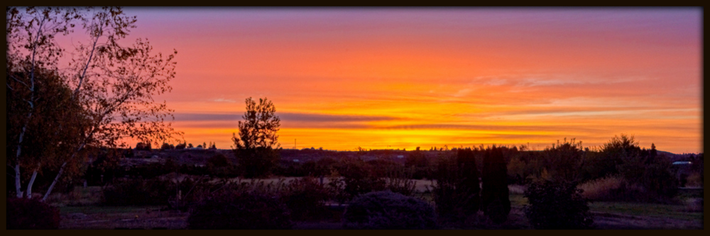 710_7875-Pano-Edit.jpg