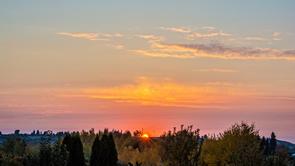 710_7916-Edit-001.jpg