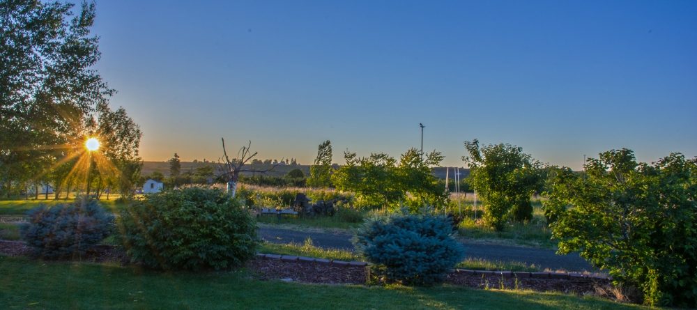 710_7928 (1000x445).jpg