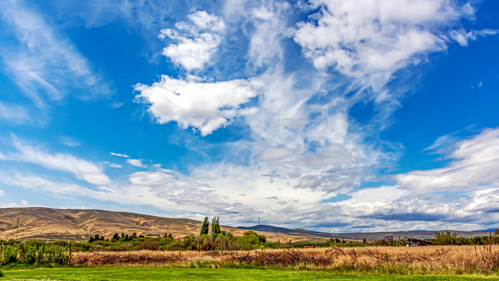 710_8129-HDR-Edit.jpg