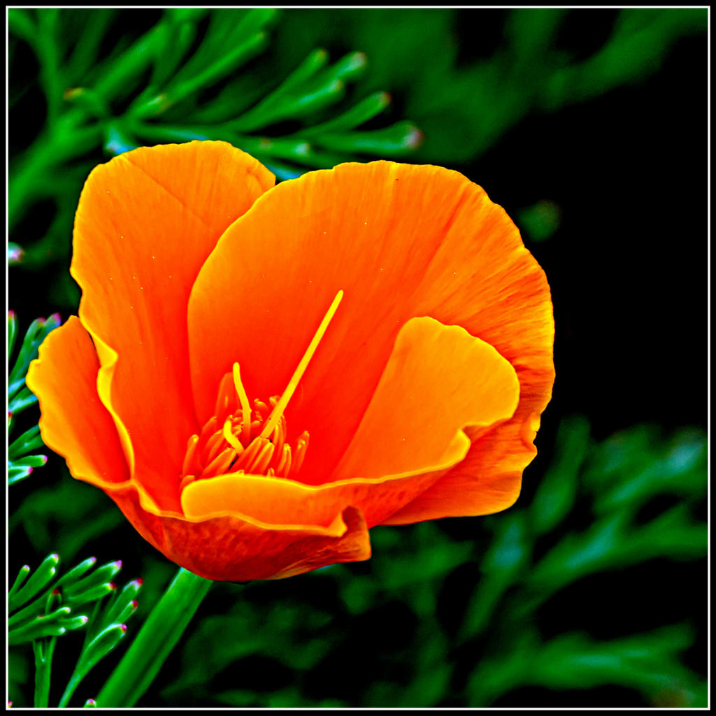 710_8427-Edit.jpg