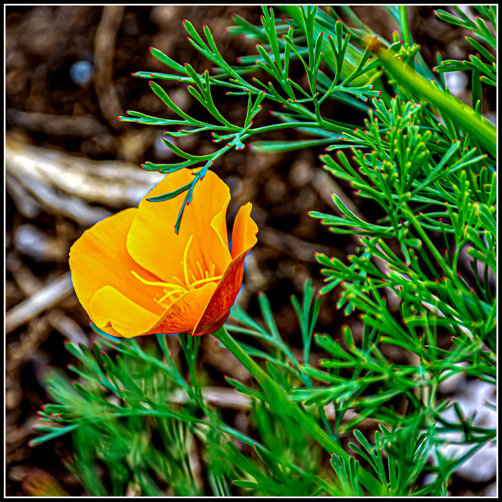 710_8436-Edit.jpg