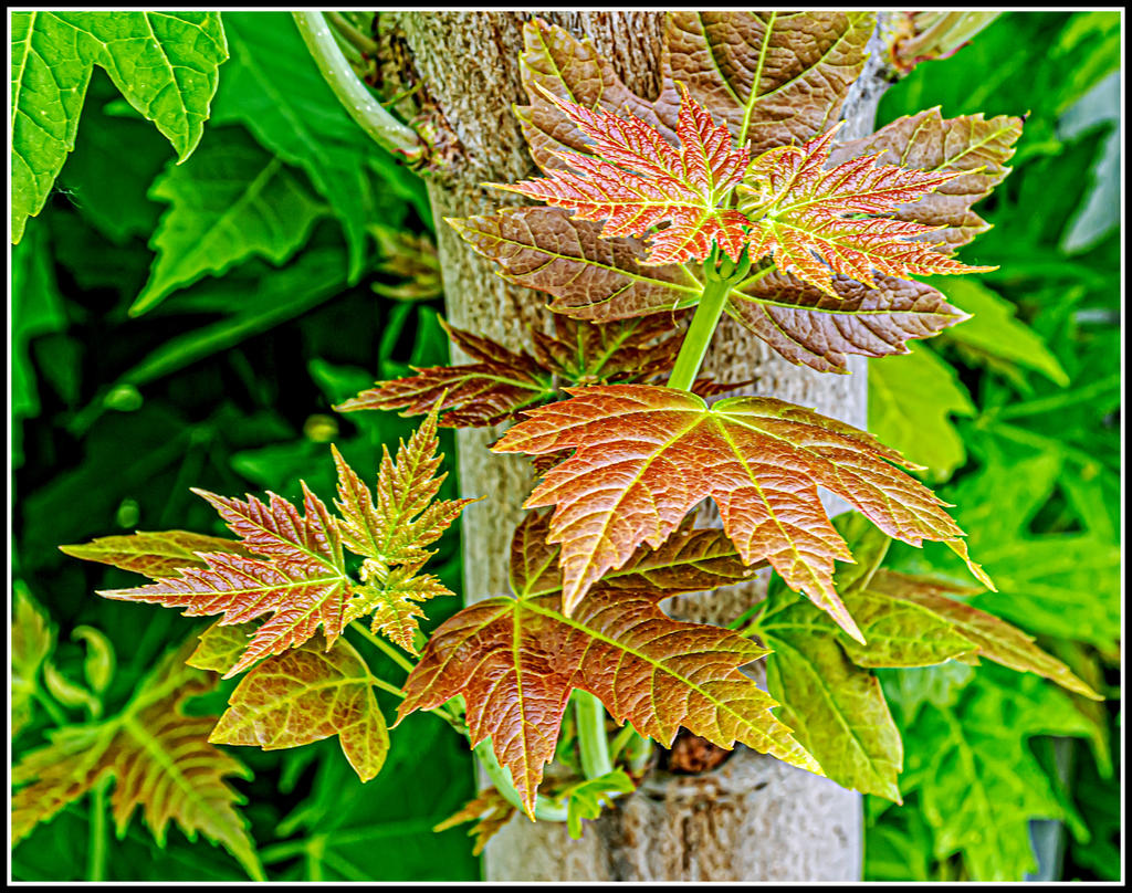 710_8469-Edit-Edit.jpg