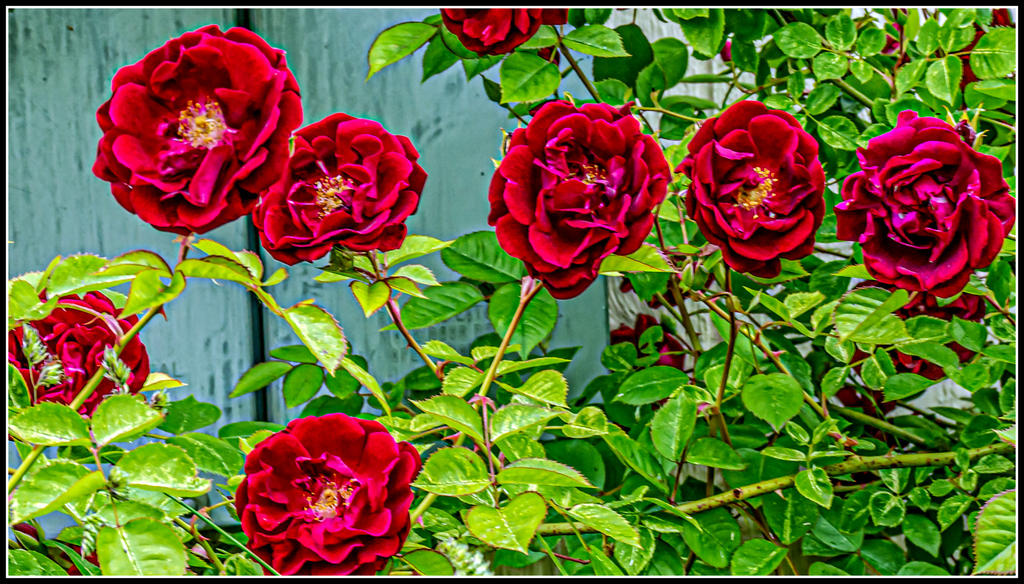 710_8491-Edit.jpg