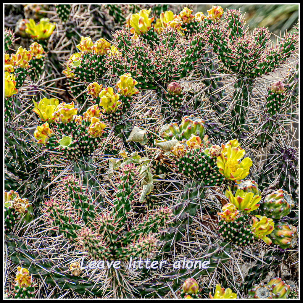 710_8559-Edit.jpg