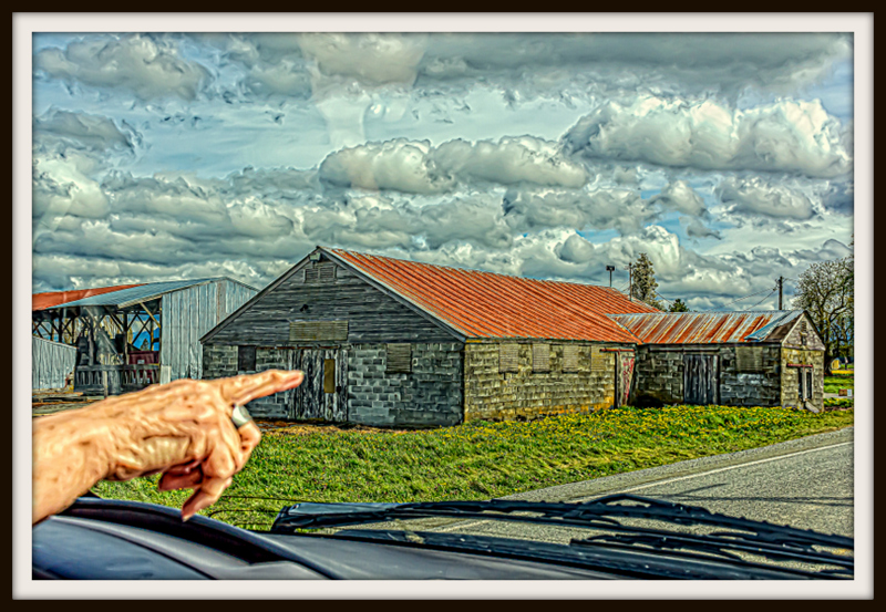 710_8722-Edit.jpg