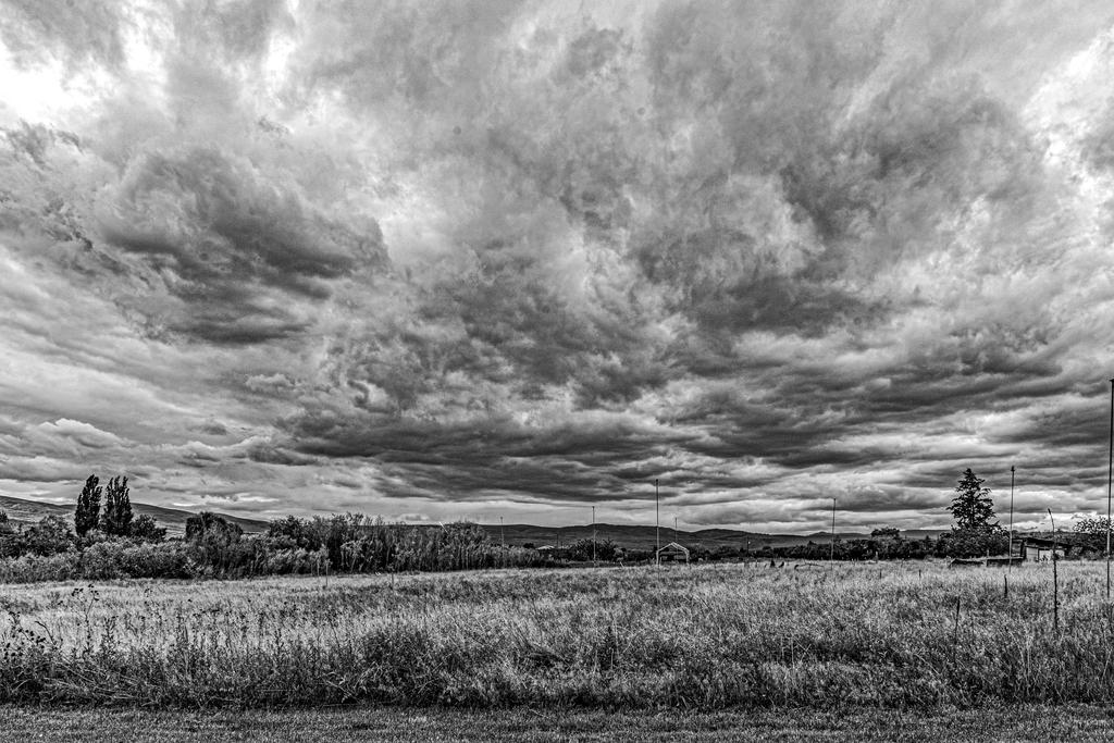 710_8801-HDR-Edit.jpg
