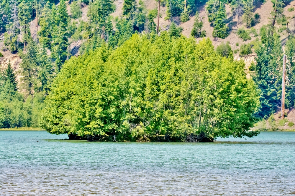 710_8932 (1000x667).jpg