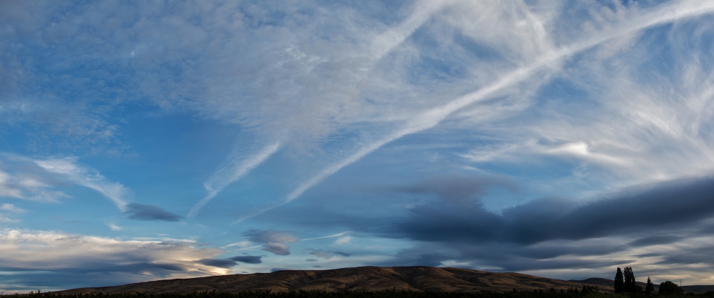 710_9017 Stitch (1000x418).jpg