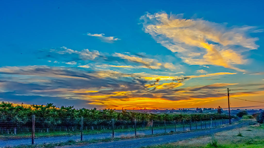 710_9220-HDR-Edit.jpg