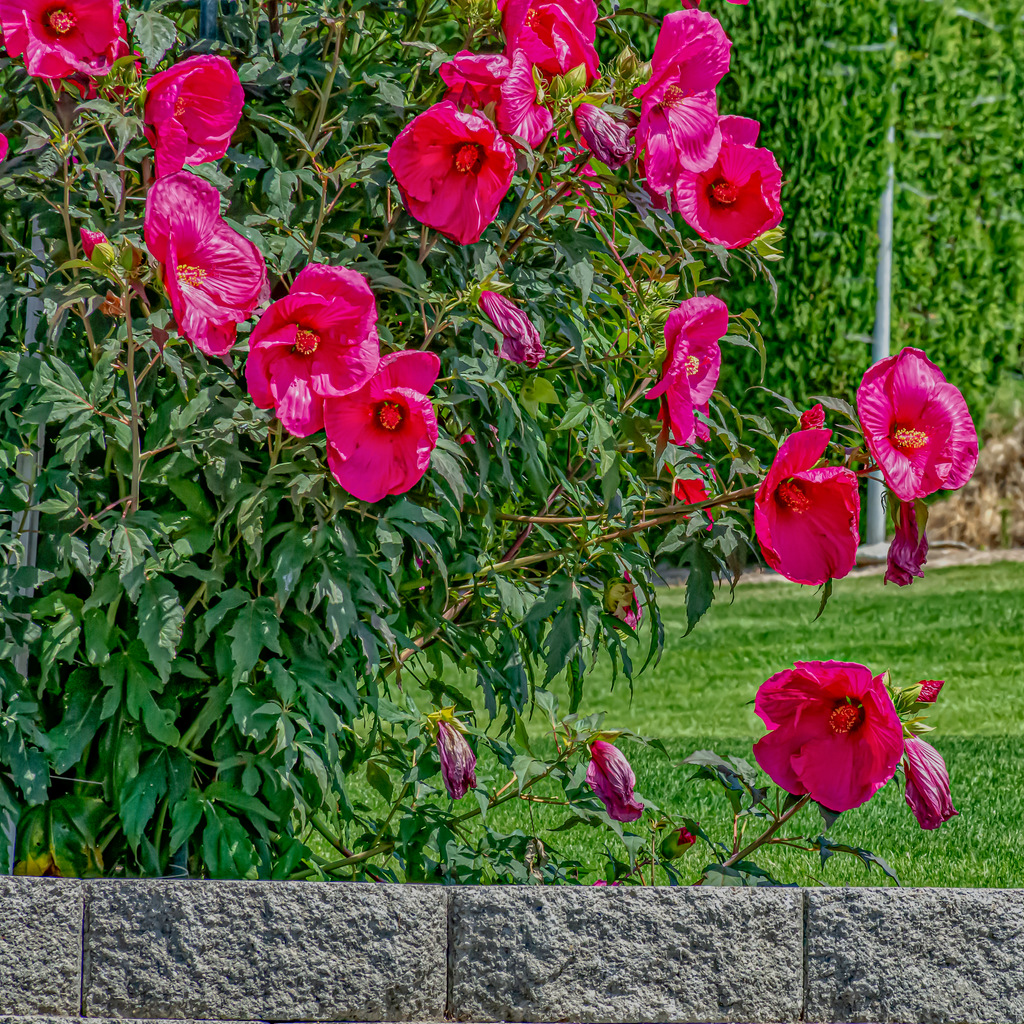 710_9623-Edit.jpg