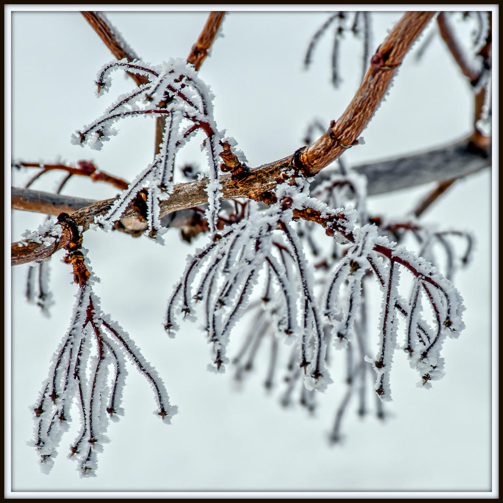 710_9838-Edit.jpg