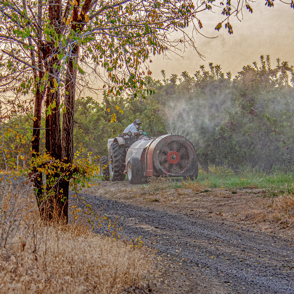 710_9937-Edit.jpg