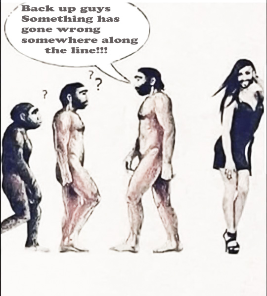 71752803_10156552304550869_8097734092952436736_n.jpg