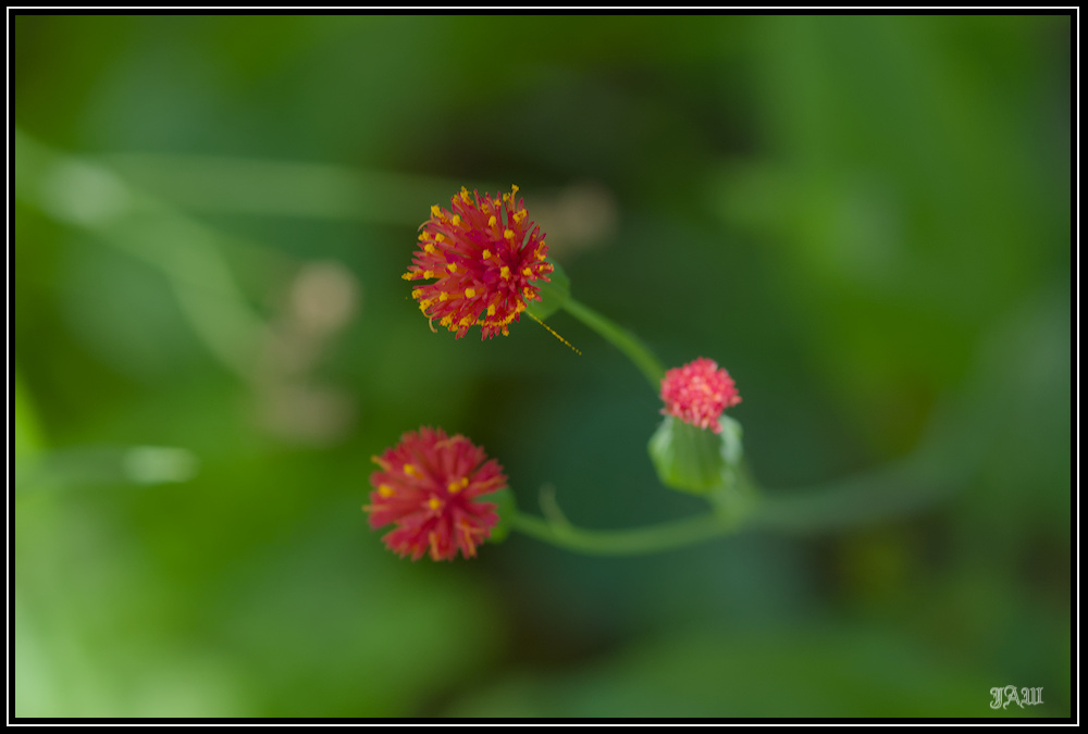 71D_8147.jpg