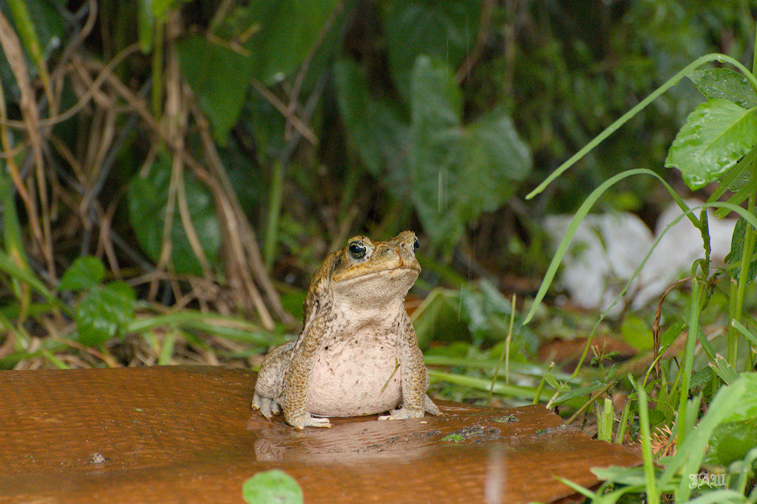 71D_9583_.jpg