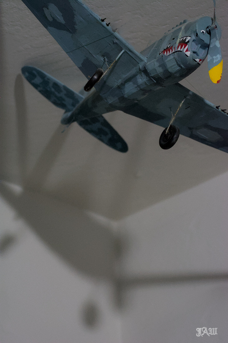71D_9589.jpg