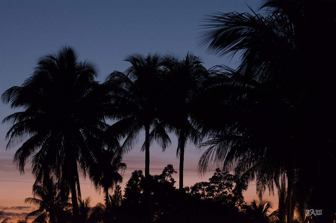 71D_9984_Sunset.jpg