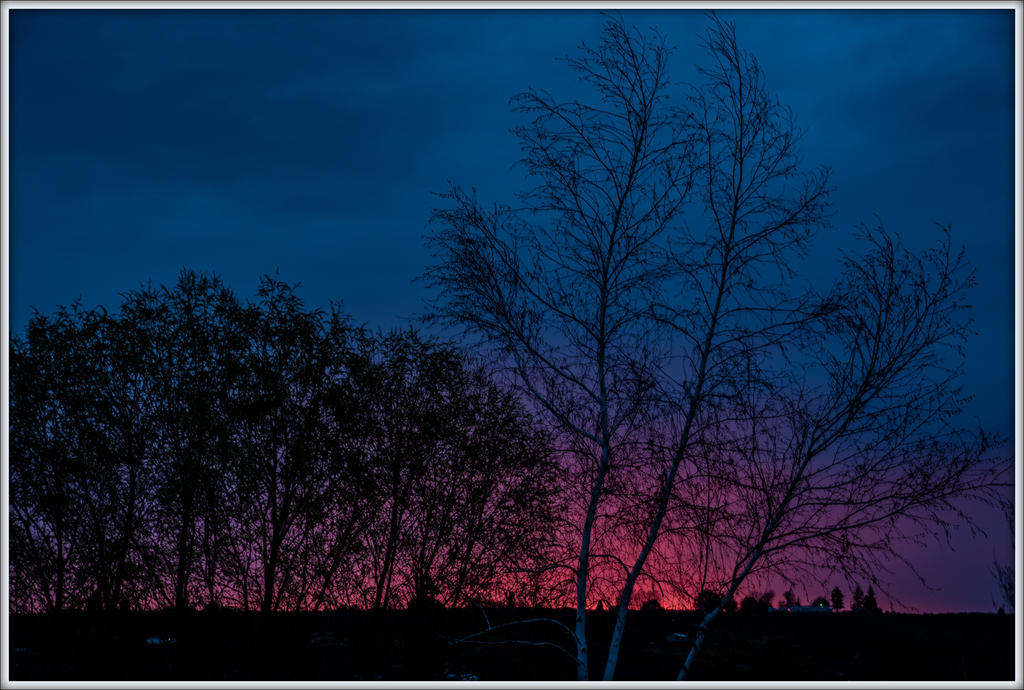 750_0017.jpg