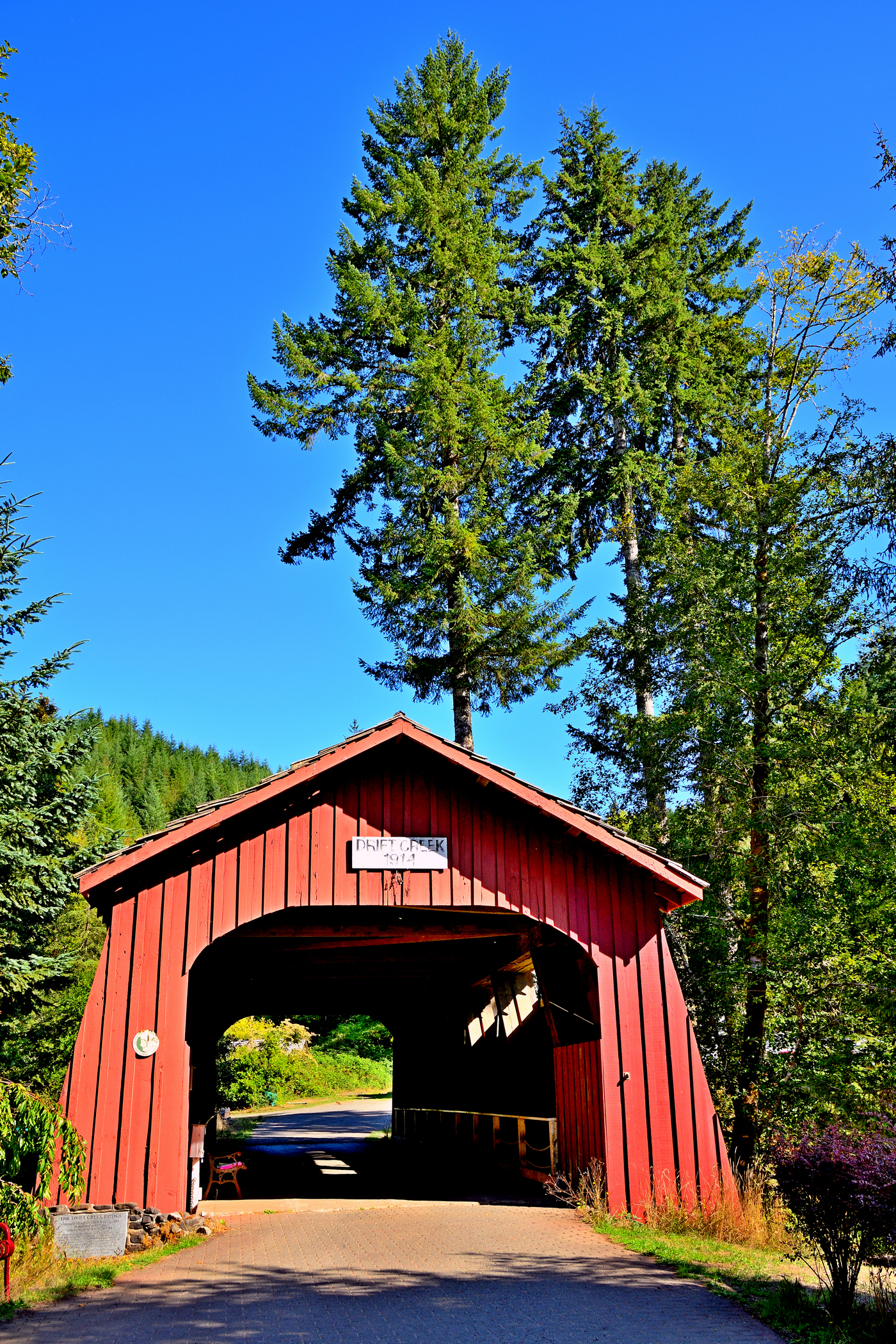 750_0049R_LCo_sm.JPG