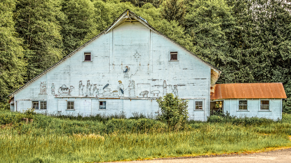 750_0255-Edit.jpg