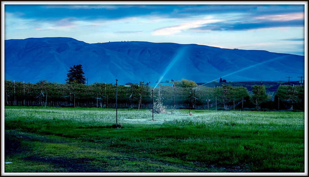750_0470-Edit.jpg