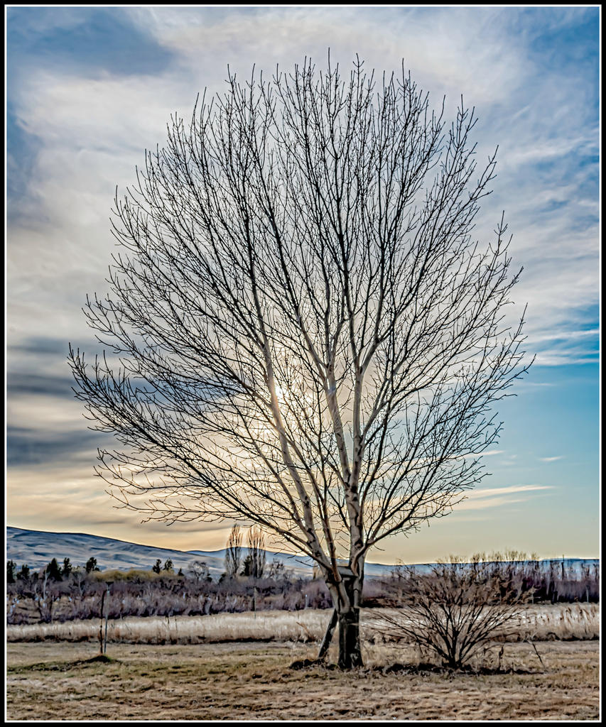 750_1021-HDR-Edit-Edit-Edit.jpg