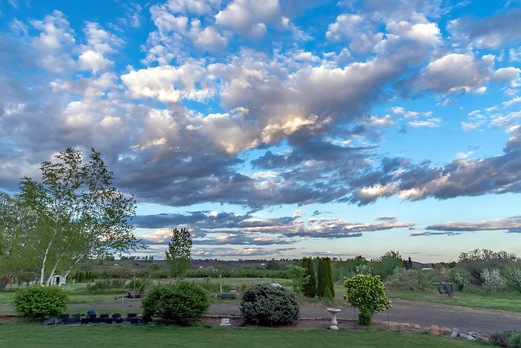 750_1038-HDR.jpg