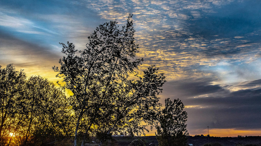 750_1164-Edit.jpg