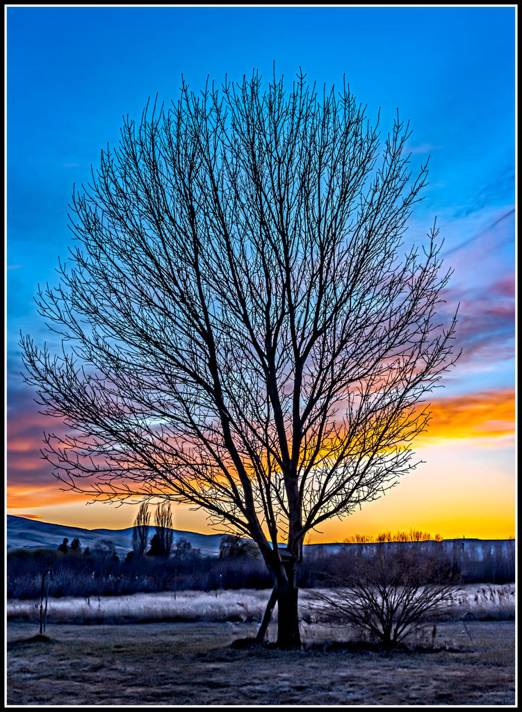 750_1248-HDR-Edit-001.jpg