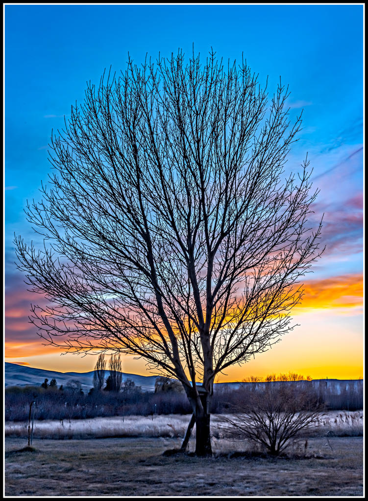750_1248-HDR-Edit.jpg