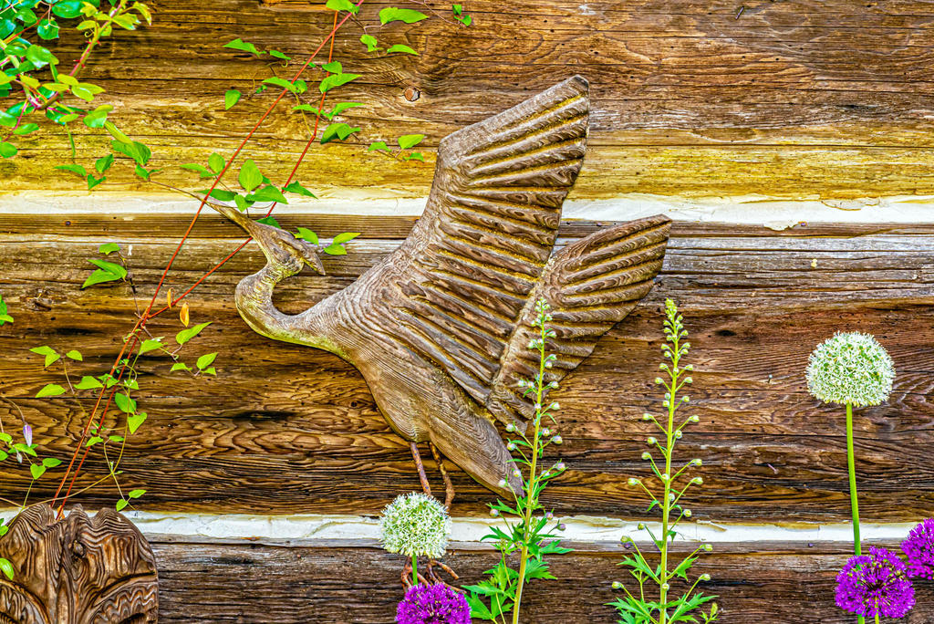 750_1349-Edit.jpg