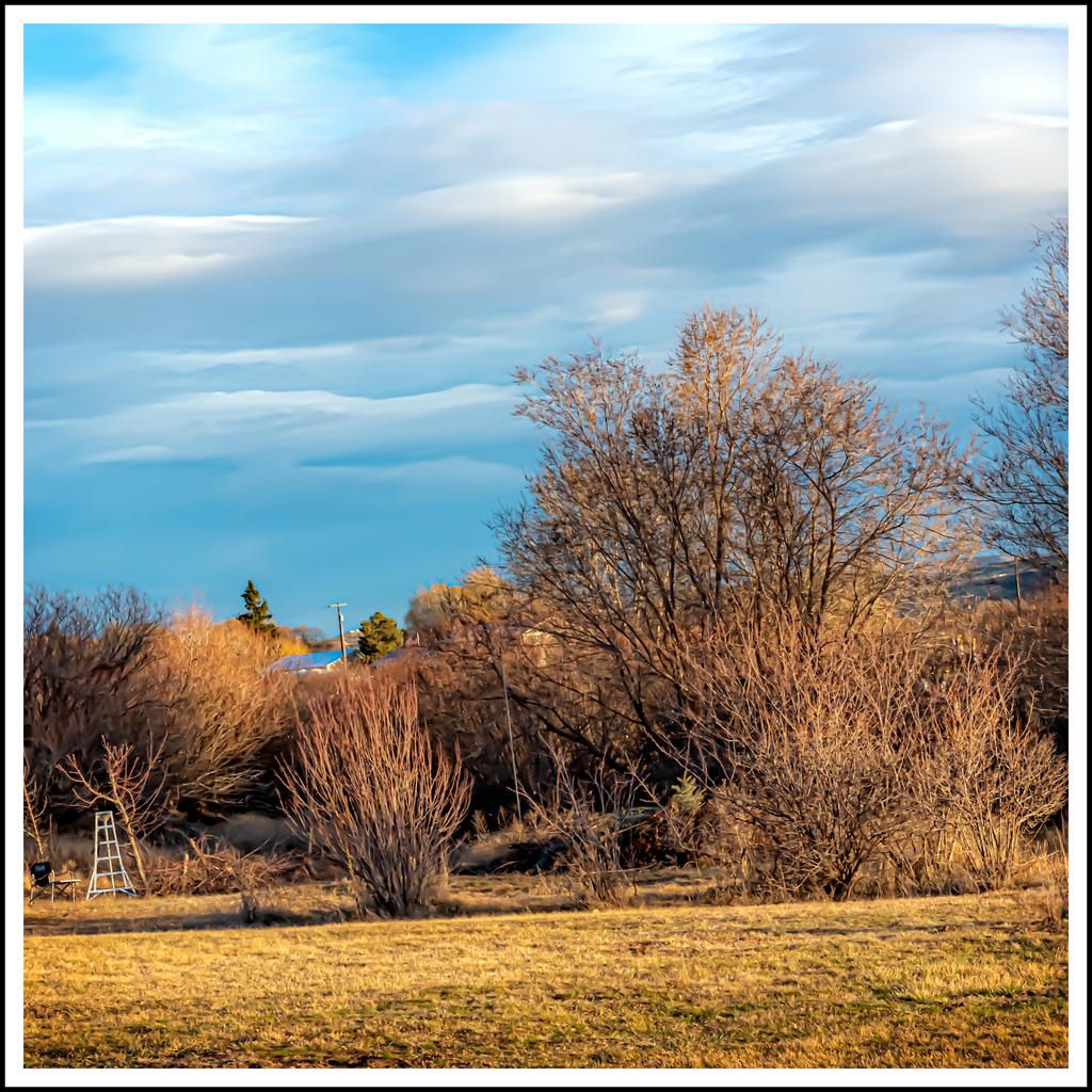 750_1398-HDR-Edit.jpg