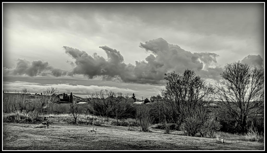 750_1442-HDR-Edit.jpg