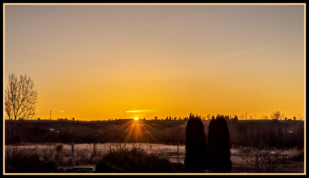 750_1638-Edit.jpg