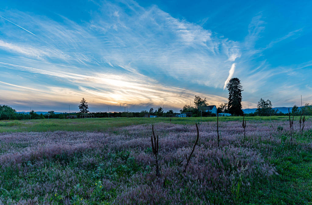 750_2076-2-HDR-Pano.jpg