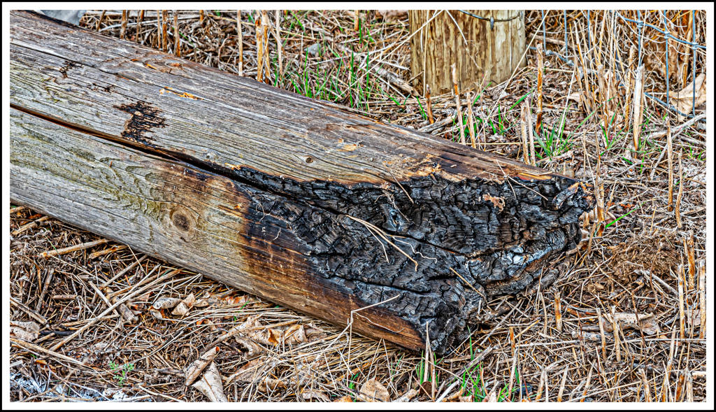 750_2260-Edit.jpg