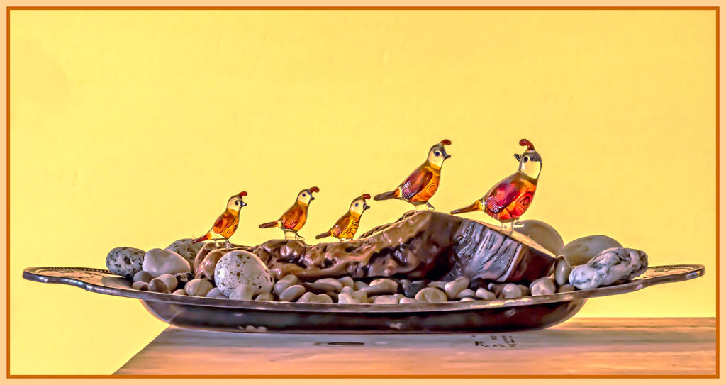 750_2499-Edit.jpg