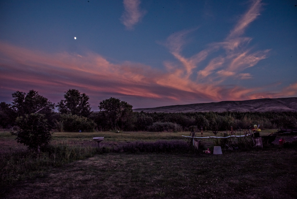 750_2760-Edit.jpg