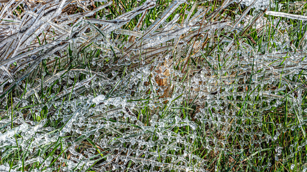 750_2899-Edit.jpg