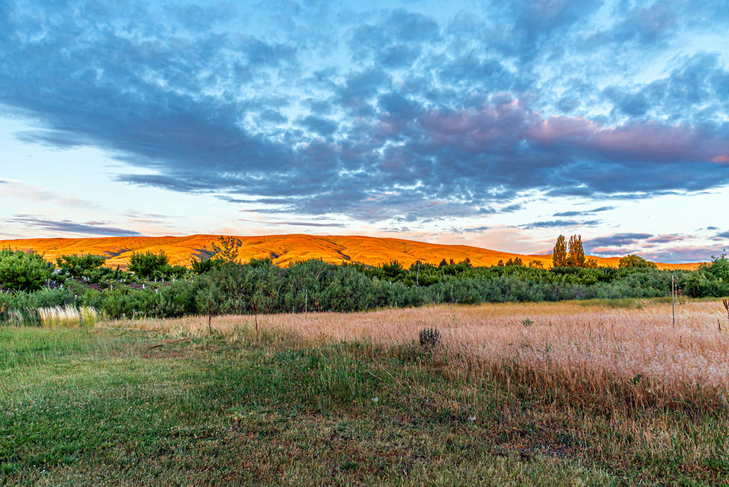 750_3005-HDR.jpg