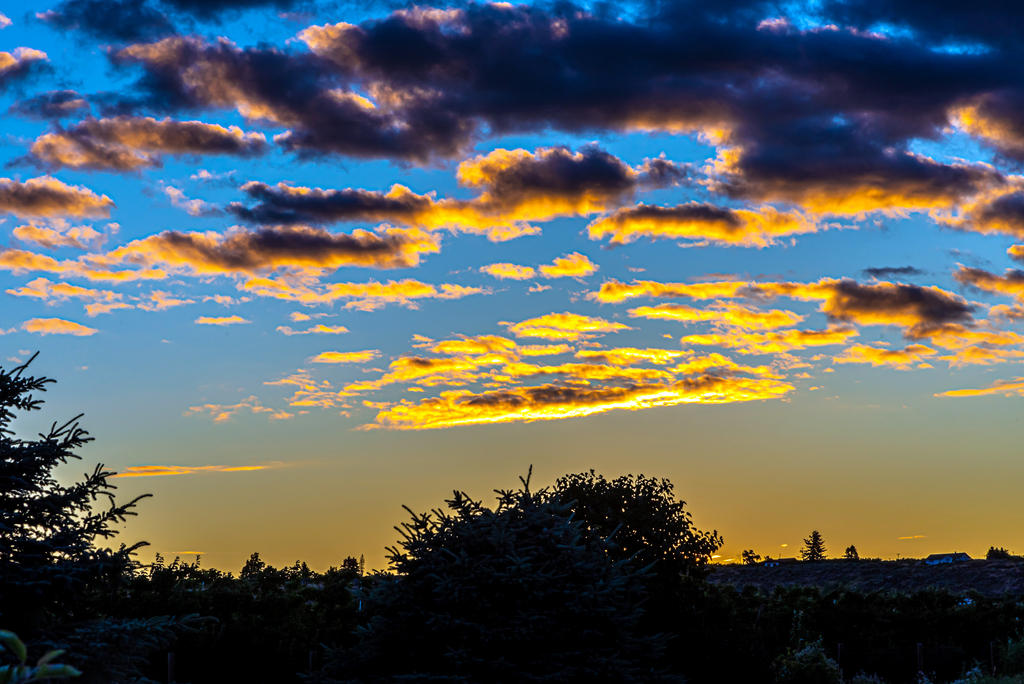 750_3010-HDR.jpg