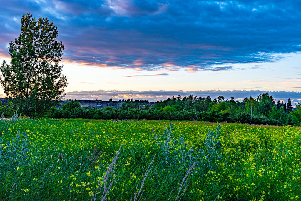 750_3015-HDR.jpg