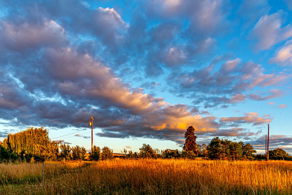 750_3045-HDR.jpg