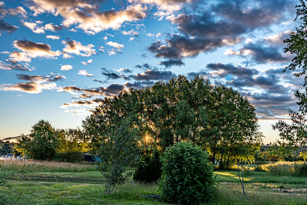 750_3080-HDR.jpg