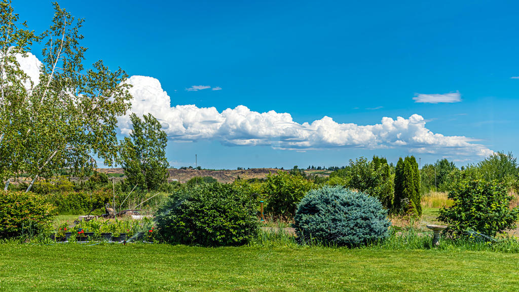 750_3095-HDR.jpg