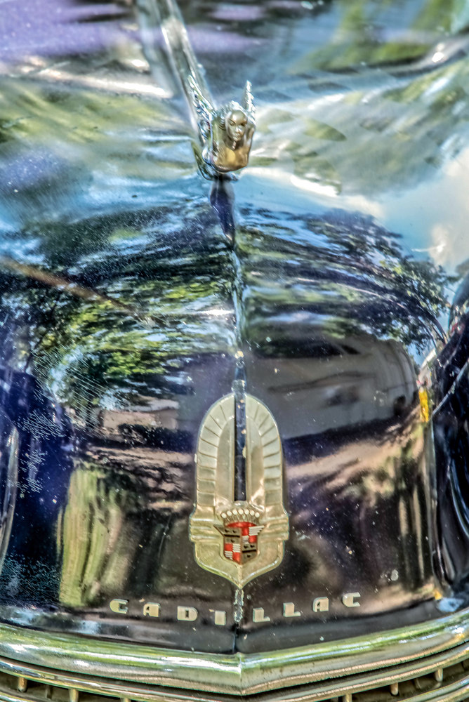 750_3117-Edit.jpg