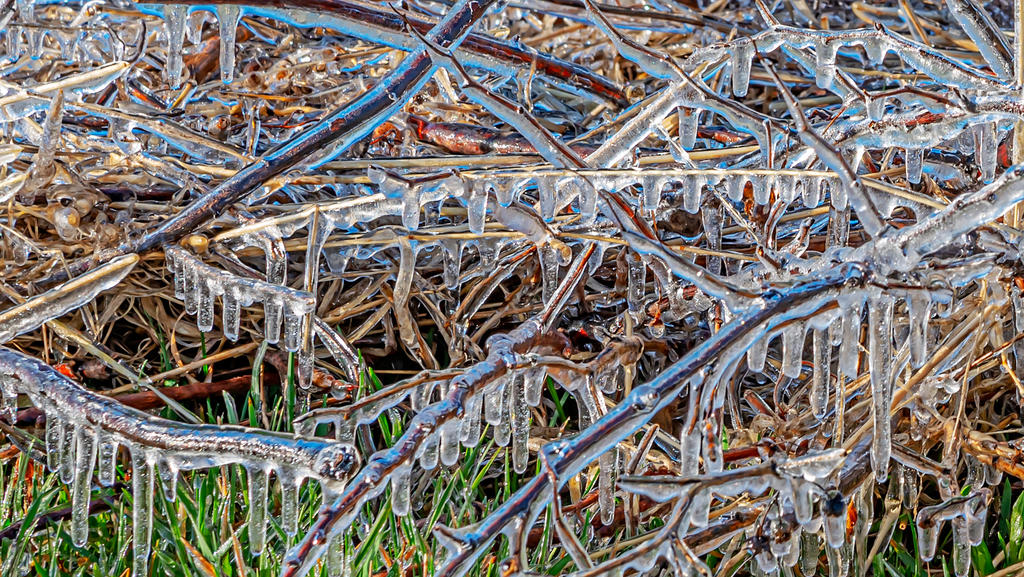 750_3165-Edit.jpg