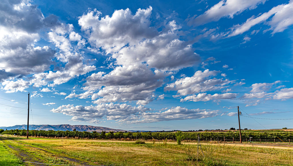 750_3245-HDR-Pano.jpg